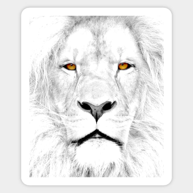 White Box Series White Lion Sticker by allovervintage
